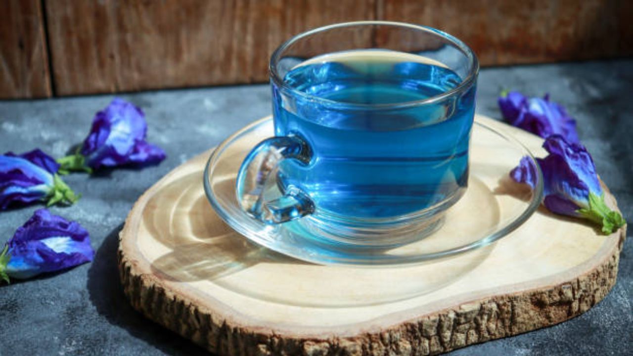 वाढलेले वजन कमी होण्यासोबतच चेहऱ्यावर येईल चमकदार ग्लो! उपाशी पोटी नियमित करा निळ्या चहाचे सेवन
