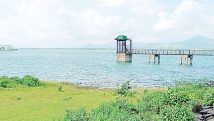Bhama-Askhed Dam: भामा-आसखेडचा पुणे, पिंपरी-चिंचवडसह ४ तालुक्यांना आधार; ५.३२ टीएमसी पाणी शिल्लक