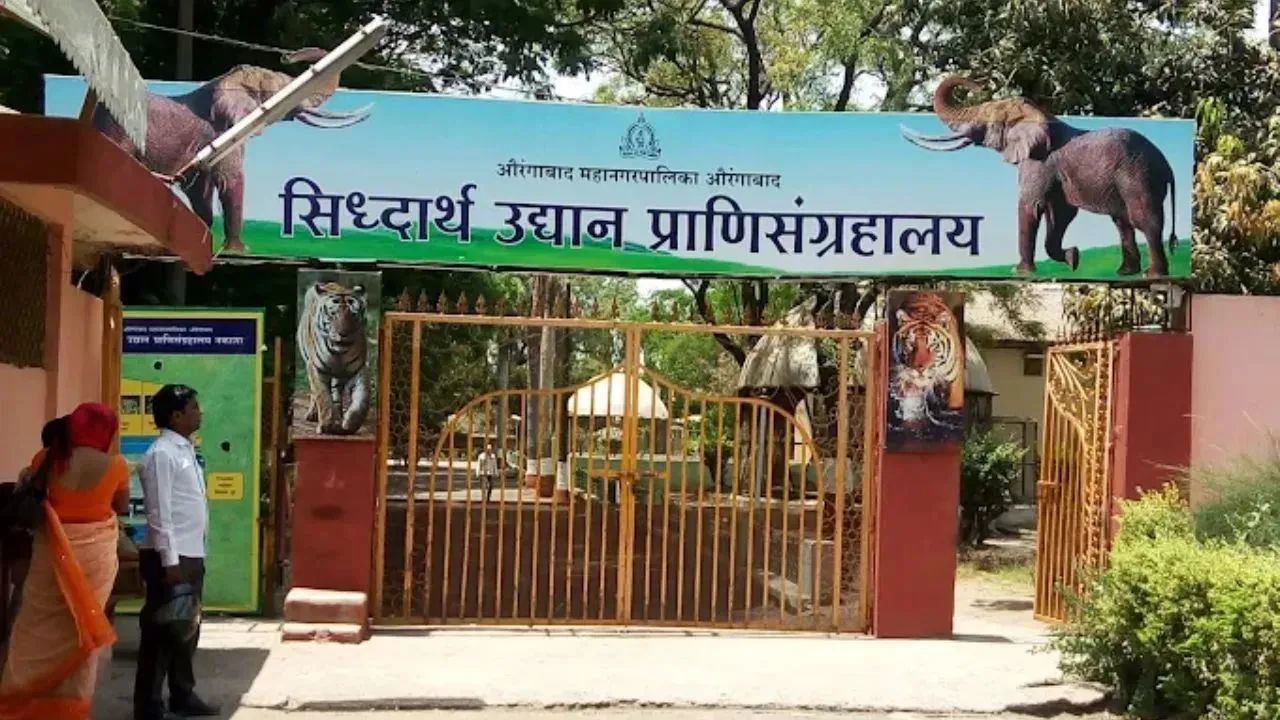 संभाजीनगर महापालिका मालामाल! प्राणिसंग्रहालय आणि उद्यानांच्या उत्पन्नात मोठी वाढ; वर्षभरात ४.८५ कोटींची कमाई
