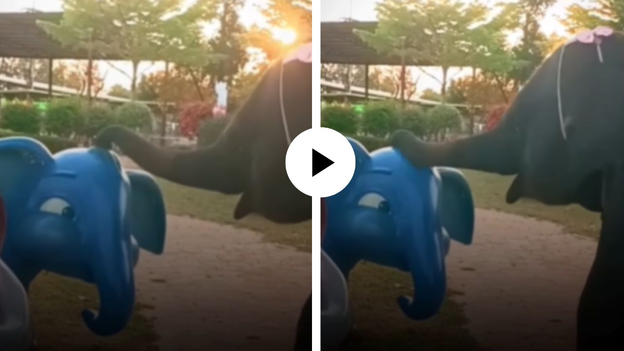 हा माझाच नातेवाईक का? डमी हत्तीला पाहून खऱ्या हत्तीचं कन्फ्युजन, पुढे काय केलं ते पाहून हसू आवरणार नाही; हास्यास्पद Video Viral