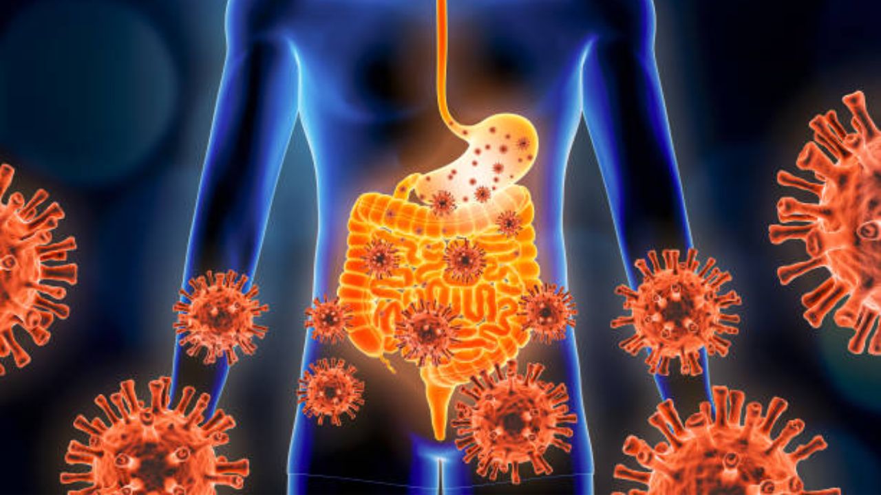 वाढत्या उन्हाळ्यात पोट कशामुळे बिघडते? फूड पॉयजनिंगशिवाय असू शकतात ‘ही’ गंभीर कारणे, दुर्लक्ष करणे ठरेल धोक्याचे