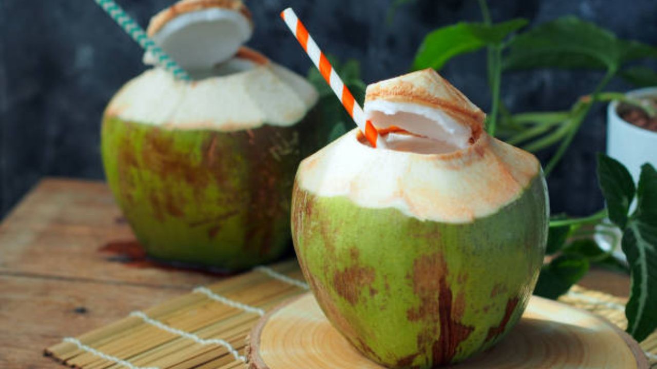 उन्हाळ्यात शहाळ्यातून थेट पाणी प्यायल्यास शरीरसंबंधित उद्भवतील गंभीर समस्या, श्वसनाच्या आजारांचा वाढेल धोका