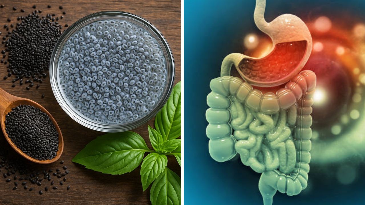 उन्हाळ्यात फायदेशीर मानला जाणारा सब्जा ‘या’ लोकांच्या आरोग्यासाठी ठरेल अतिशय घातक, जाणून घ्या सब्जा खाण्याची पद्धत