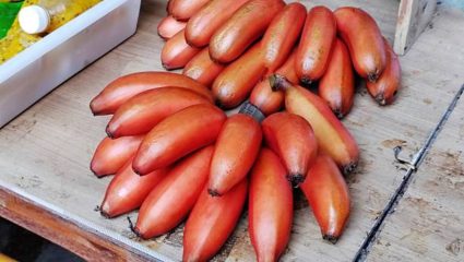 पिवळ्या रंगांच्या केळ्यांपेक्षा लाल केळी जास्त गुणकारी! रोजच्या आहारात नियमित करा सेवन, राहाल कायम फिट
