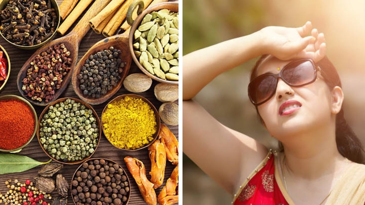 Heat Control Tips : स्वयंपाकघरातील हे 5 मसाले शरीराला ठेवतील थंड, जाणून घ्या रोजच्या जीवनात कसा करावा वापर…