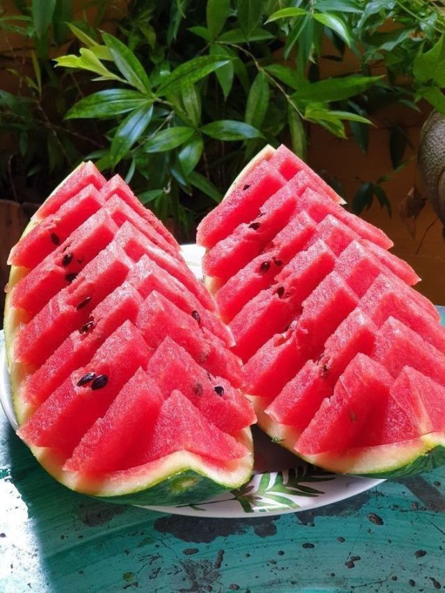 कलिंगड कोणी खाऊ नये?