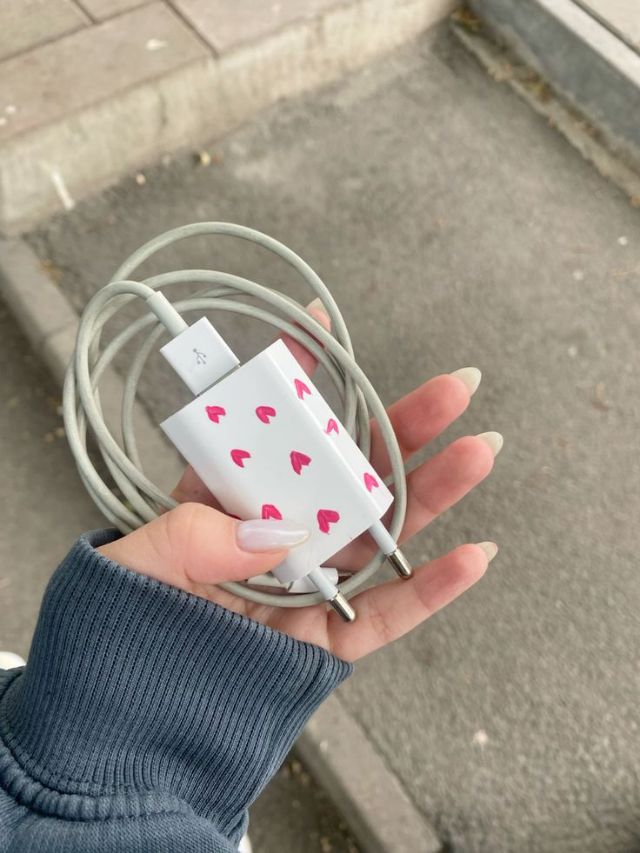 स्टेशनवरचा स्वस्तातला चार्जर वापरताय?