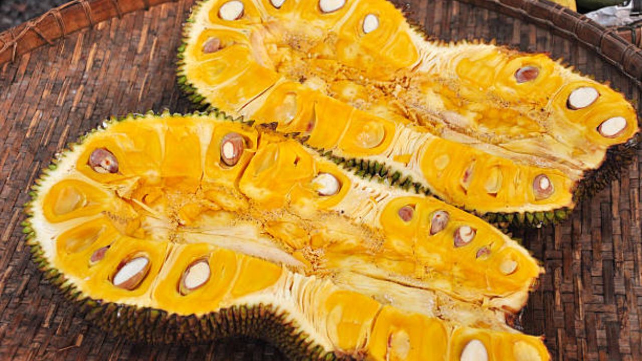 शरीरातील वात संतुलित ठेवण्यासाठी फणस भाजीचे सेवन करावे. ज्या व्यक्तींची पचनशक्ती अतिशय कमजोर आहे अशांनी आहारात फणस भाजीचे सेवन करावे. 