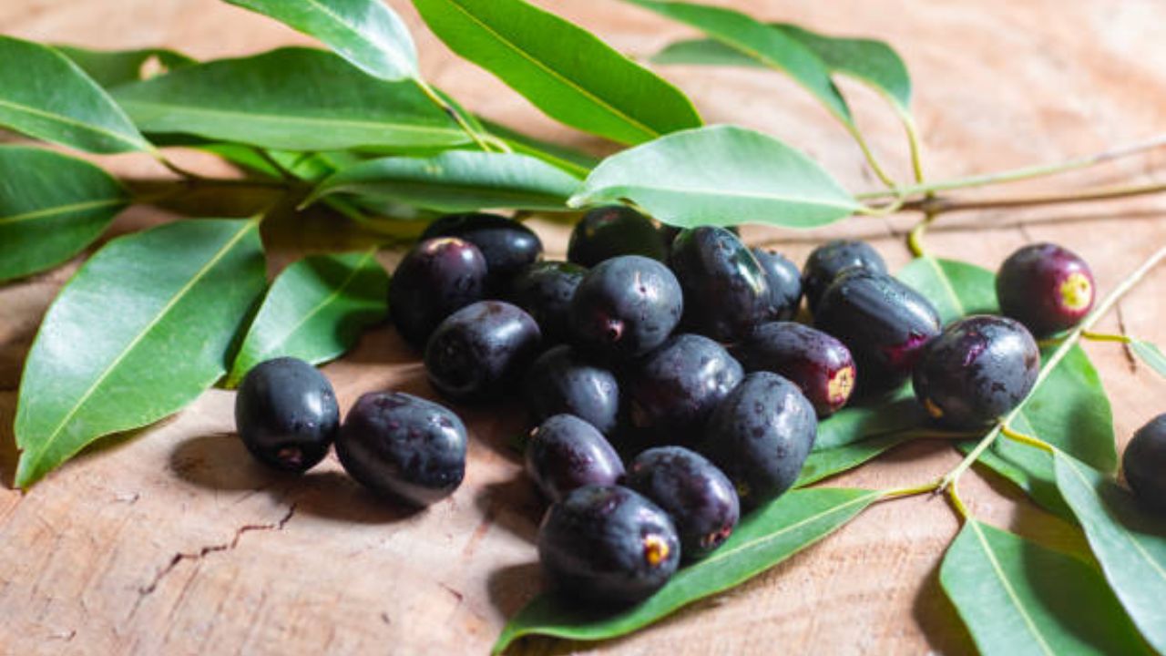 उन्हाळा ऋतूला सुरुवात झाल्यानंतर बाजारात जांभळं सुद्धा मोठ्या प्रमाणावर उपलब्ध होतात. त्यामुळे जांभूळ खाल्ल्यानंतर त्याच्या आतील बिया फेकून देण्याऐवजी कडक सुकवून त्यांची पावडर करून घ्यावी. त्यानंतर पाण्यात मिक्स करून प्यायलस मधुमेह नियंत्रणात राहील. 