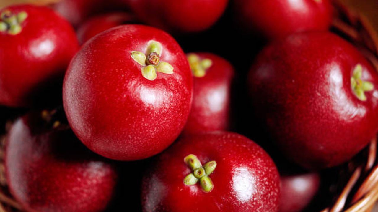 सुकवलेल्या कोकमपासून तुम्ही आमटी, कढी किंवा सरबत सुद्धा बनवून पिऊ शकता. यामुळे पोटात वाढलेली उष्णता कमी होऊन जळजळ कमी होईल. जेवणाच्या ताटात कायमच सोलकढी वाढली जाते. सोलकढीमुळे खाल्लेले अन्नपदार्थ पचन होते.