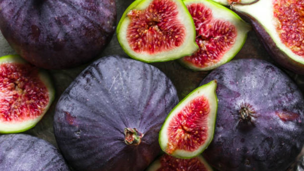  शरीरातील हिमोग्लोबिनची पातळी सुधारण्यासाठी अंजीर खावे. यामध्ये असलेले लोहयुक्त घटक रक्ताची कमतरता भरून काढतात. शरीरात वाढलेला थकवा कमी होण्यास मदत होईल. 