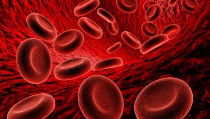 शरीरात कायमच थकवा- अशक्तपणा जाणवतो? शरीरसंबंधित असू शकतात ‘या’ गंभीर आजाराचे संकेत, जाणून घ्या लक्षणे