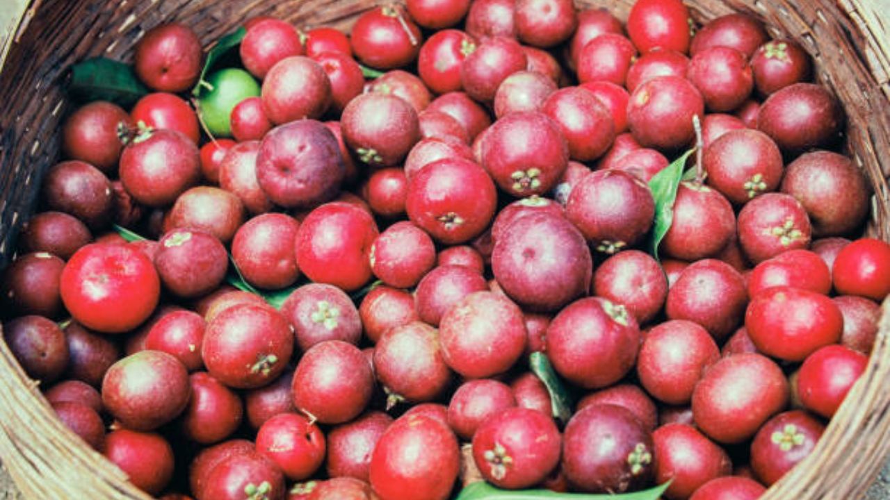 ऍसिडिटीमुळे वाढलेली डोकेदुखी, उलट्या, मळमळ कमी करण्यासाठी कोकमचा रस किंवा कोकमपासून बनवलेले पदार्थ खावेत.