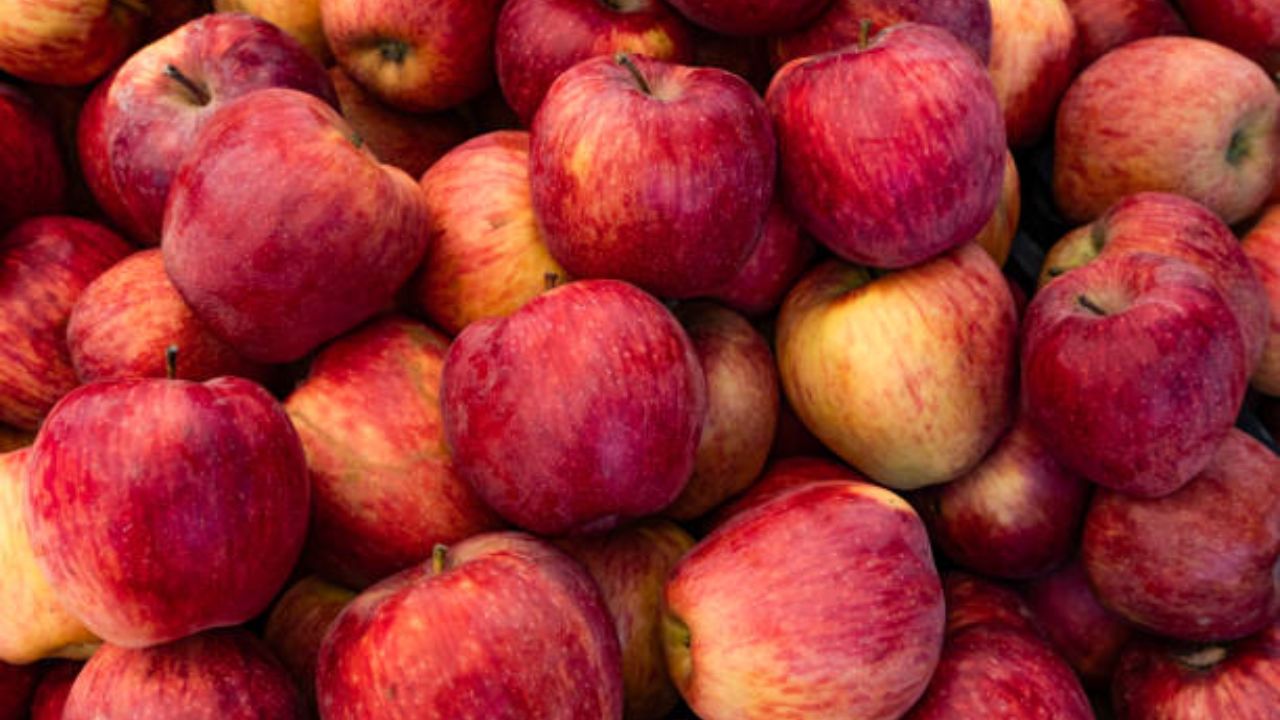 सकाळच्या नाश्त्यात नियमित एक सफरचंद खाल्ल्यास शरीर कायमच आजारांपासून दूर राहील. सफरचंदामधील फायबर आणि अँटीऑक्सिडंट्स शरीराची कमकुवत झालेली रोगप्रतिकारशक्ती सुधारतात. 