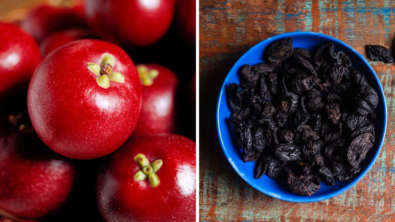 शरीरात वाढलेले पित्त नियंत्रणात ठेवण्यासाठी आहारात करा कोकमचा समावेश, मळमळ- उलट्या होतील कमी