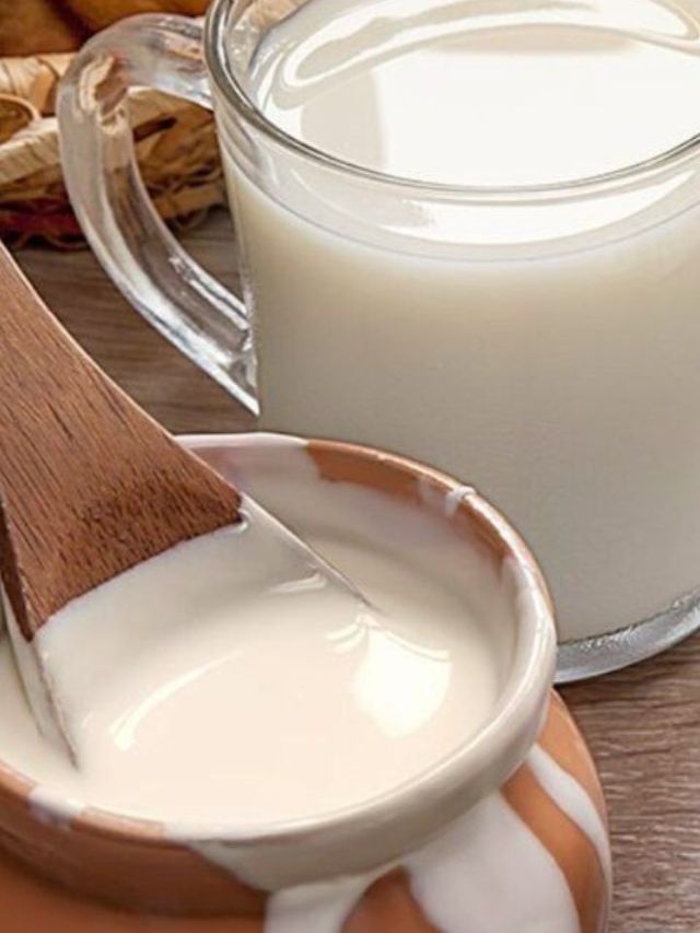 दूध की दही? कशामध्ये असते जास्त कॅल्शियम