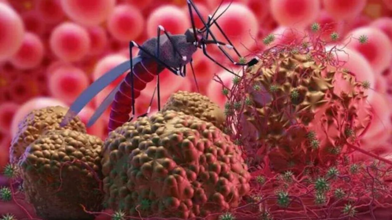 World Malaria Day : मलेरियाचा ‘द एंड’ निश्चित! विज्ञानाने शोधली अशी लस की डासांची दहशत संपणार; पाहा विशेष रिपोर्ट