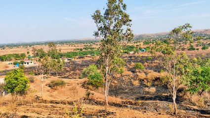 Ahilyanagar News: वणव्याचे थैमान! जांभळदरा परिसरात ९ शेतकऱ्यांच्या बागा खाक; ठिबकसह शेती साहित्याचे मोठे नुकसान