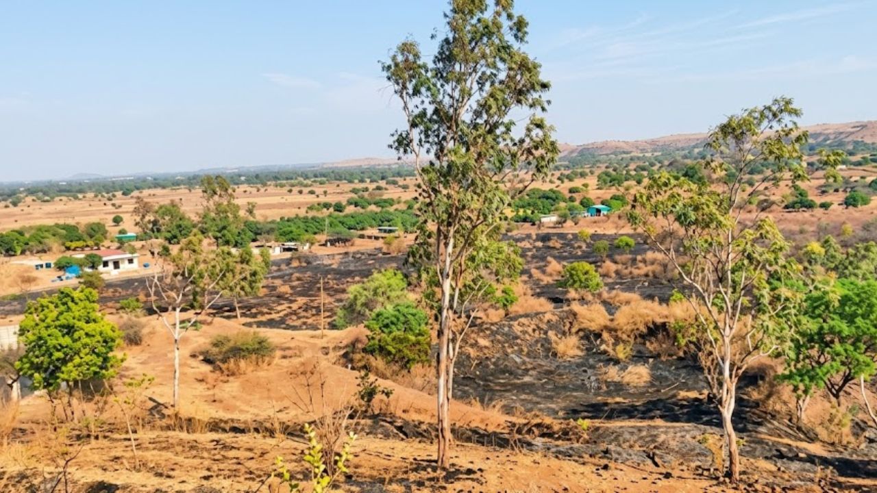 Ahilyanagar News: वणव्याचे थैमान! जांभळदरा परिसरात ९ शेतकऱ्यांच्या बागा खाक; ठिबकसह शेती साहित्याचे मोठे नुकसान