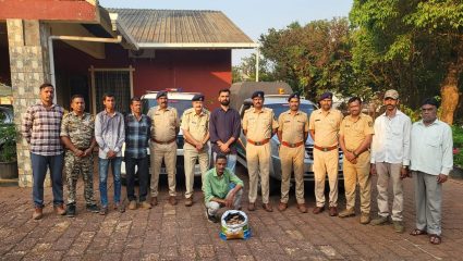 महाबळेश्वरमध्ये खवले मांजराच्या खवल्यांची तस्करी उघड; वनविभागाने आरोपीला सापळा रचून पकडले