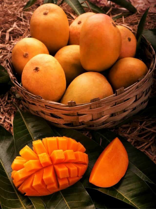 हापूस स्वस्त झाला, कोणत्या राज्यात किती भाव? जाणून घ्या