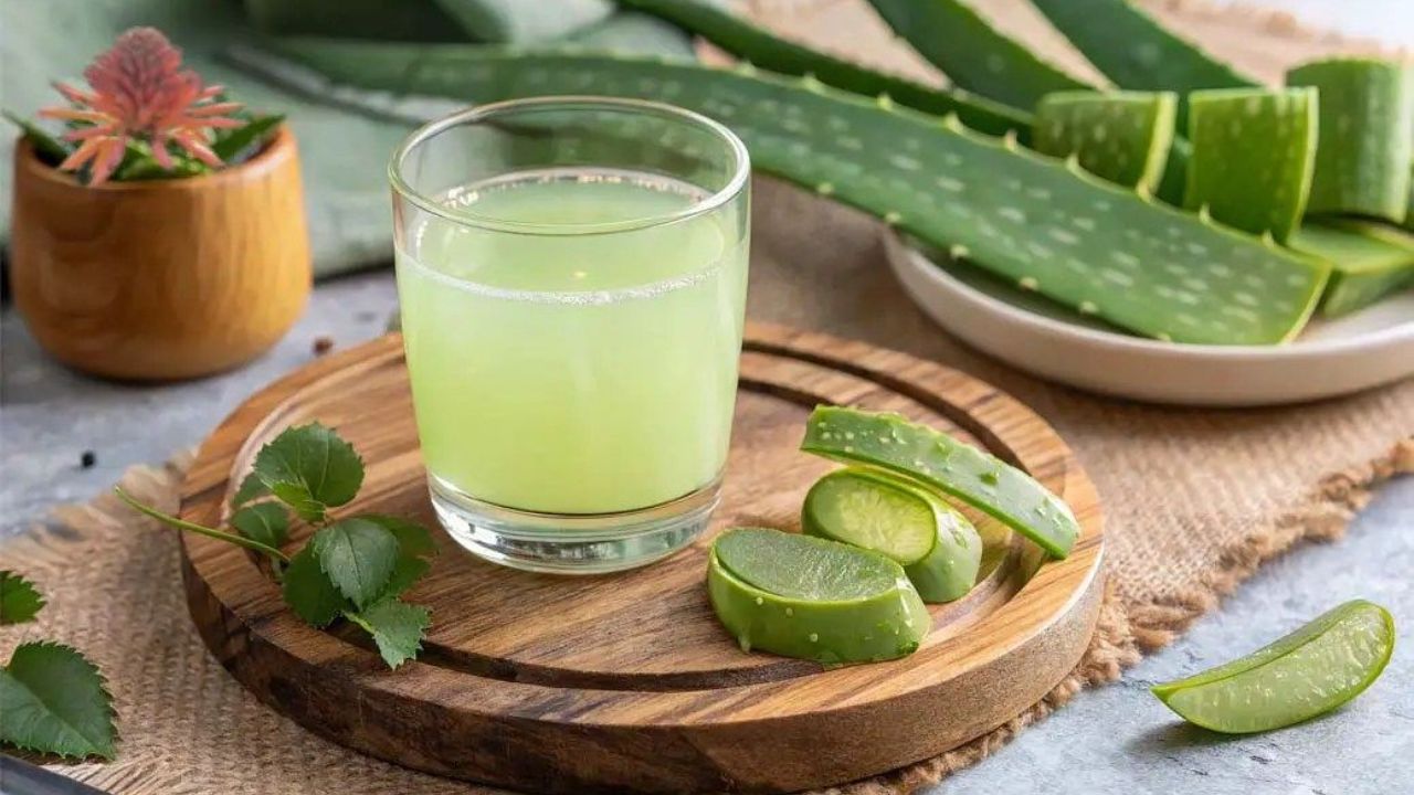 उन्हाळ्यात बॉडी डिटॉक्स करण्यासाठी आहारात करा Alo Vera Drink चे सेवन, बनवण्याची सोपी पद्धत जाणून घ्या