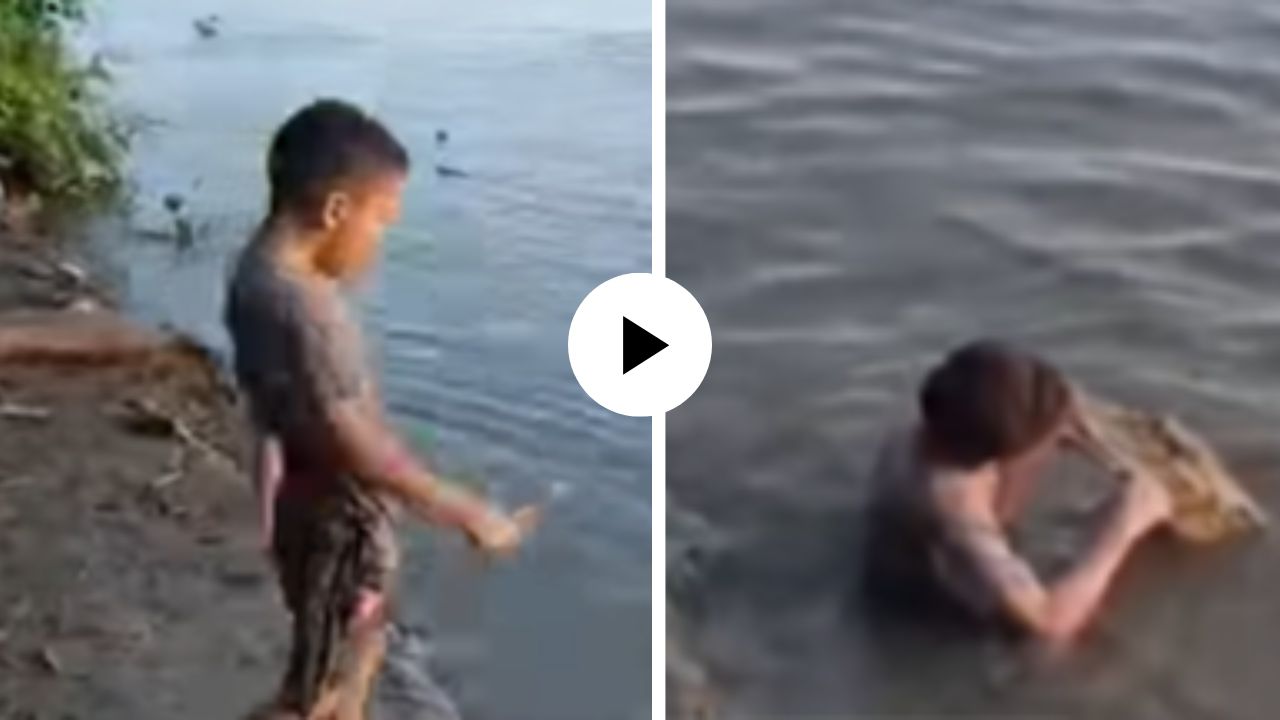 मुलाच्या करामतीला तोड नाही! पाण्यात जाऊन थेट मगरीचे दात घासू लागला, पाहून हसूच आवरता येणार नाही; Video Viral