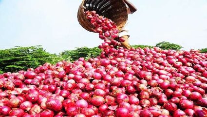 Farmer News: दृष्टिहीन शेतकऱ्याने पिकवला दहा एकर कांदा, सटाण्यातील डॉ. कांतीलाल दुबे यांची प्रेरणादायी कहाणी