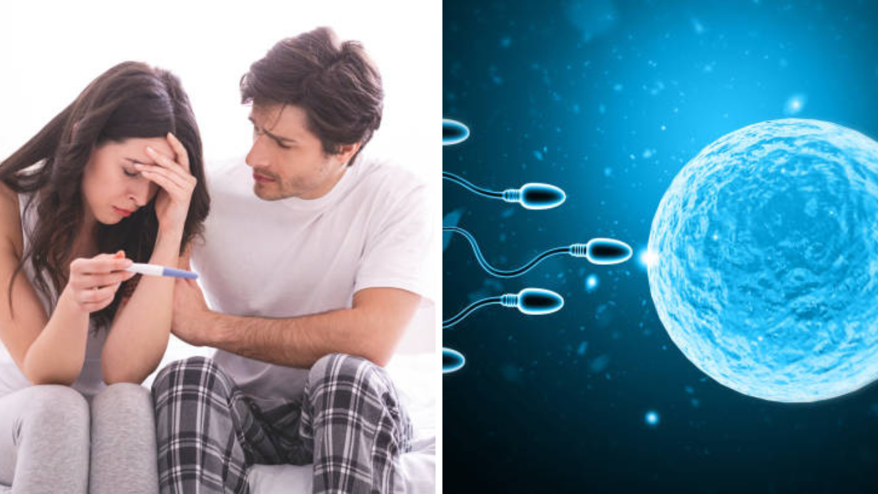 पुरुषांनो! आयुर्वेदिक विधीने वाढू शकते लैंगिक क्षमता आणि Fertility, तज्ज्ञांनी दिला योग्य सल्ला