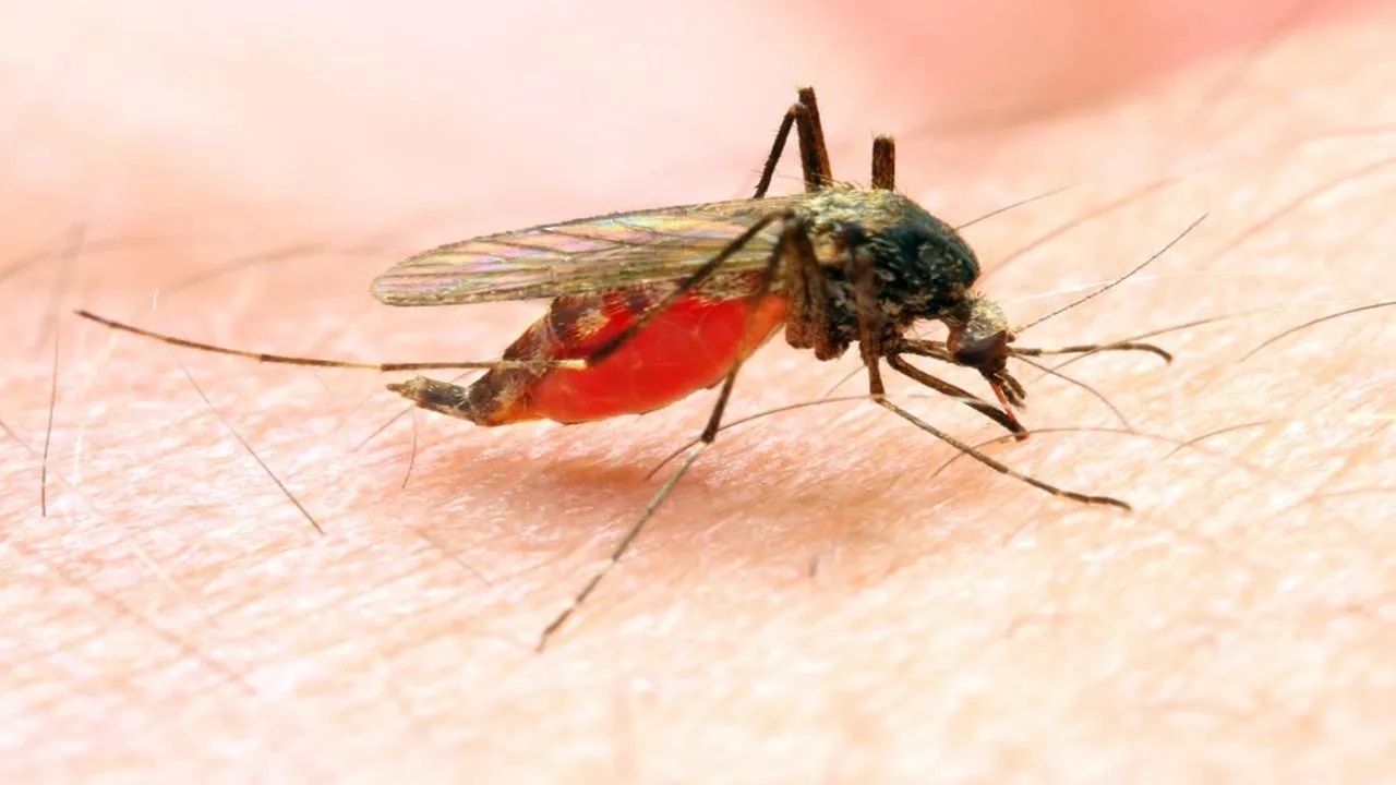 काळजी घ्या ! राज्यात आता ‘या’ आजाराने काढले डोके वर; वेळेत उपचार न झाल्यास बेतू शकतं जीवावर…