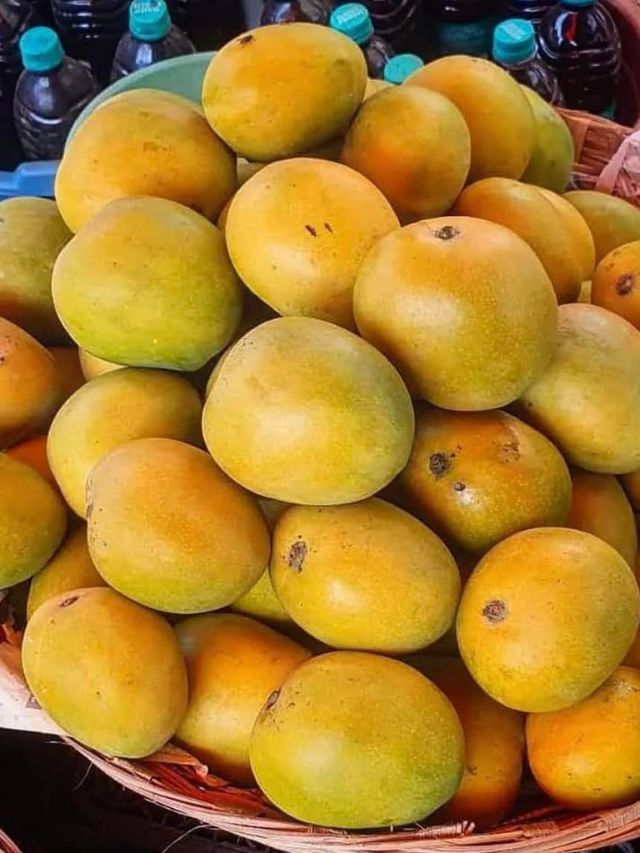 उन्हाळ्यात आंबा का खायला पाहिजे ?