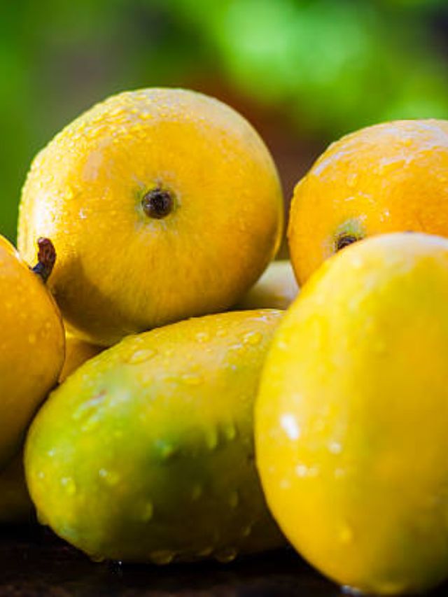 मधुमेहाच्या रुग्णांनी आंबा खाणे योग्य आहे का?