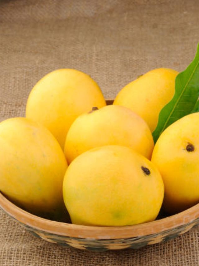 आंब्यासह चुकूनही खाऊ नका हे पदार्थ, आरोग्यासाठी हानिकारक