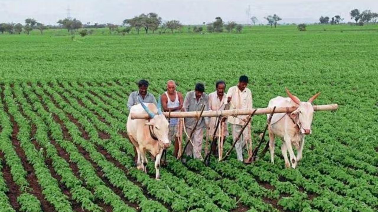 डिजीटल शेती शाळा अभियानात सहभागी व्हा! सिंदखेडराजा कृषी अधिकारी रामेश्वर भुते यांचे शेतकऱ्यांना आवाहन