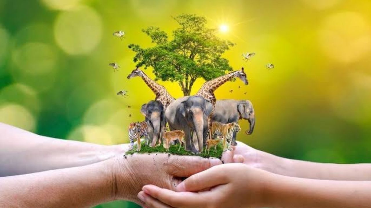 वन्यजीव संवर्धनात उज्ज्वल भविष्य! पर्याय ऐकाल तर म्हणाल “आता यातच घडवायचं मला करिअर!”