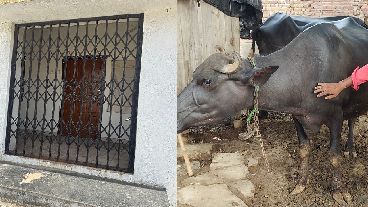 कुलूपबंद दवाखाना अन् डॉक्टर बेपत्ता, प्रशासनाचा निष्काळजीपणा; शेतकरी, पशुपालक अडचणीत