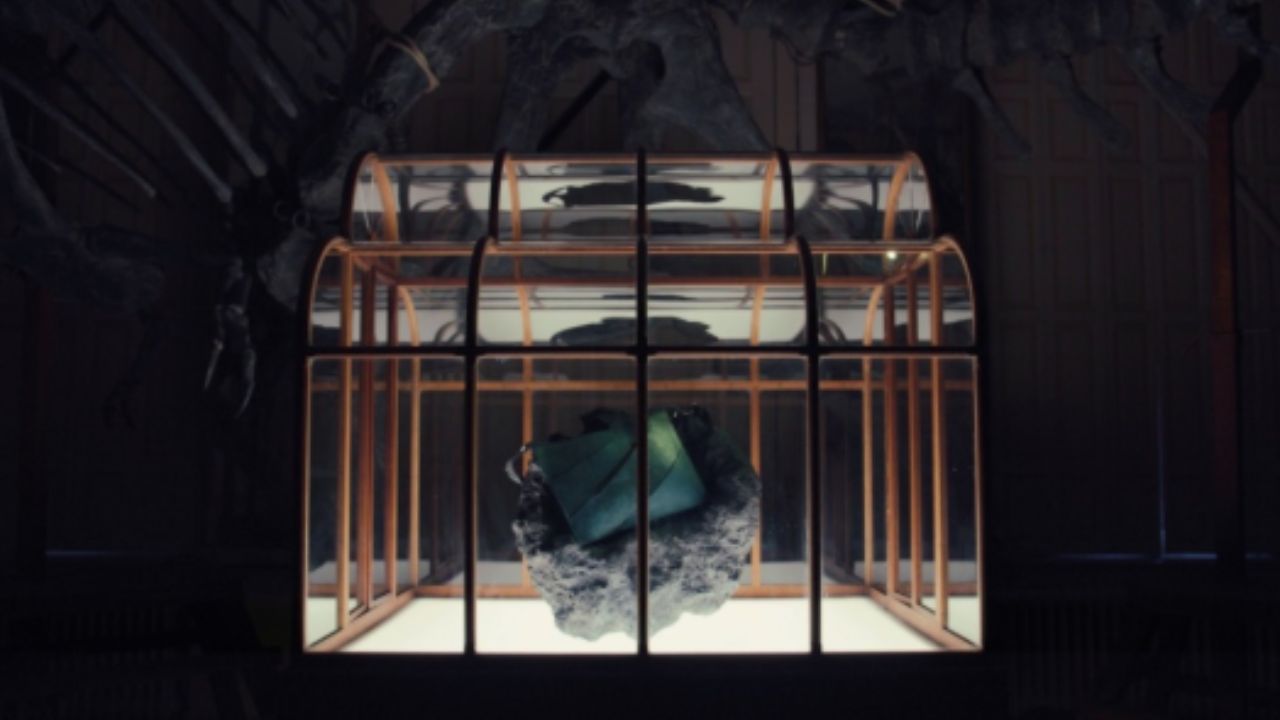 Luxury Bag : डायनासोरच्या चामड्यापासून बनवलेल्या लक्झरी बॅगचा होत आहे लिलाव, बोलीची सुरुवातीची किंमत ऐकाल तर अवाक् व्हाल