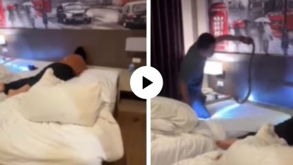 हॉटेल रूममध्ये भीतीचा थरार! बेडवर झोपलेल्या कपलजवळ पोहोचला किंग कोब्रा, मग पुढे काय घडलं? पाहा Viral Video