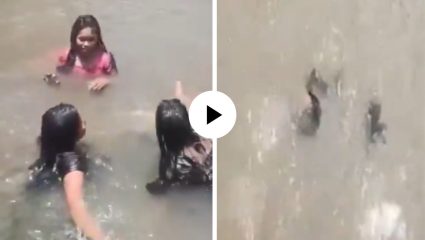 सेल्फी घेणं जीवावर बेतलं! एकीला वाचवायला गेली अन् धबधब्यात बुडून तीन तरुणींचा मृत्यू; घटनेचा लाईव्ह Video Viral