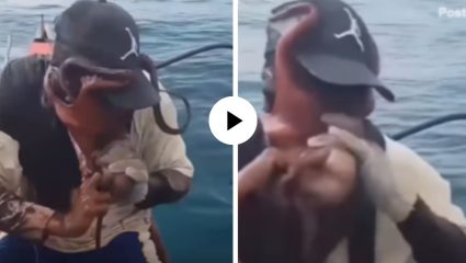 ऑक्टोपसला पकडणं पडलं महागात, मच्छिमाराच्या संपूर्ण चेहऱ्याला वेढलं अन् समुद्राच्या मधोमध दिसला अनोखा थरार; Video Viral