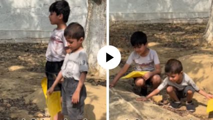 व्यक्ती जातो, सहवास राहतो! शाळेचा रिपोर्ट कार्ड घेऊन चिमुकला पोहचला कबरीजवळ, आईला हाक मारली अन्… हृदयस्पर्शी Video Viral