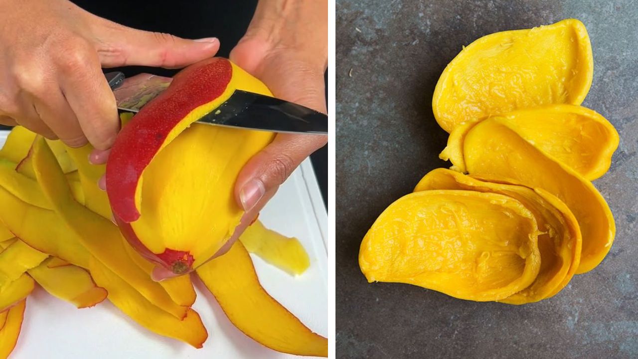 Summer Special Tips : फेकू नका, डोकं लावा! खतापासून मँगो टीपर्यंत आंब्याच्या सालीचा करता येतो अनेक प्रकारे वापर…