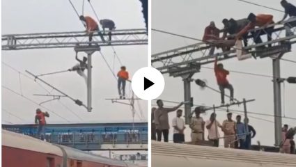 एक झटका अन् मृत्यू होता अटळ…! रेल्वे स्टेशनवर २५,००० व्होल्टच्या तारांमध्ये लोकांची हाणामारी, पोलिसही हैराण; Video Viral