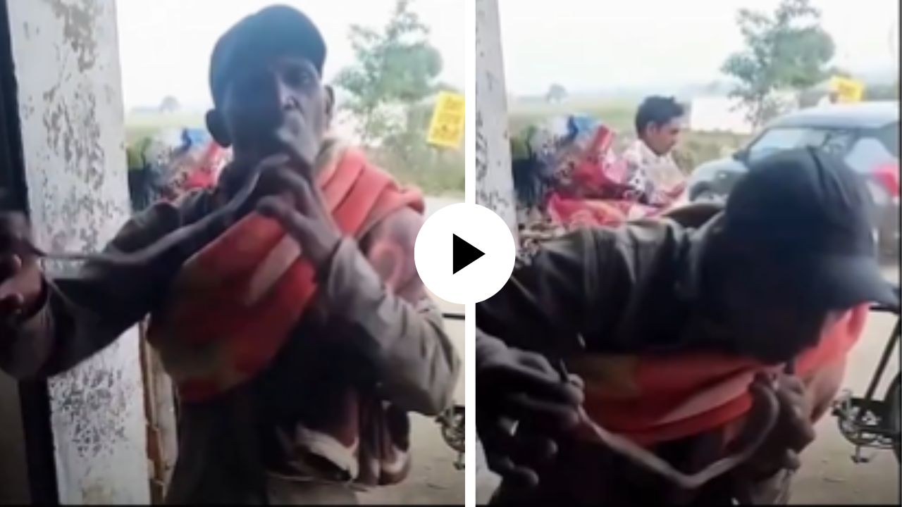 एक Kiss अन् मृत्यूला बळी पडला व्यक्ती! किंग कोब्राचे चुंबन घेतानाच घडला अनर्थ प्रकार; घटनेचा चित्तथरारक Video Viral