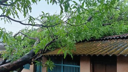 Ratnagiri News : चिपळूणमध्ये अवकाळीचा मोठा फटका; मुसळधार पावसाने जनजीवन विस्कळीत