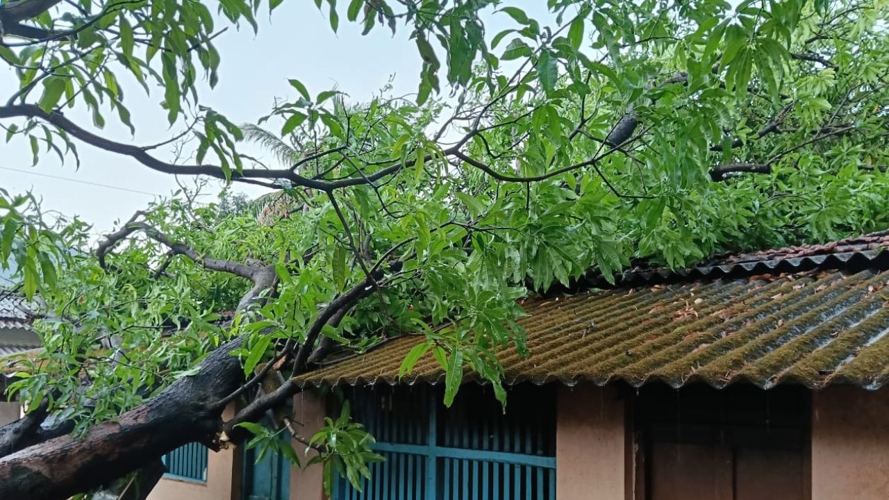 Ratnagiri News : चिपळूणमध्ये अवकाळीचा मोठा फटका; मुसळधार पावसाने जनजीवन विस्कळीत