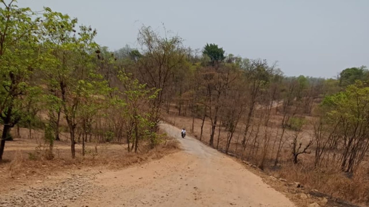 Ratnagiri News : रस्त्याची चाळण पण प्रशासानाचा मात्र डोळेझाक; गावकऱ्यांनी घेतला आक्रमक पवित्रा