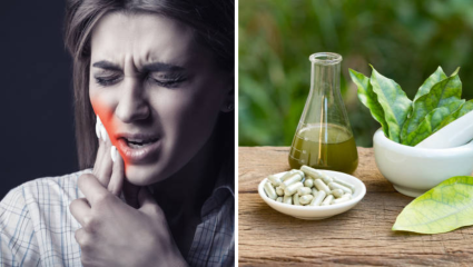 6 आयुर्वेदिक उपाय, दातदुखीवर रामबाण; Oil Pulling पासून लवंग, हळद-मुलेठी दातांना देईल मजबूती
