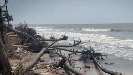 Vasai : वसई किनाऱ्यांवरील बंधारे रखडले ; CRZ परवानगीअभावी 30 कोटींचा प्रकल्प अडकला