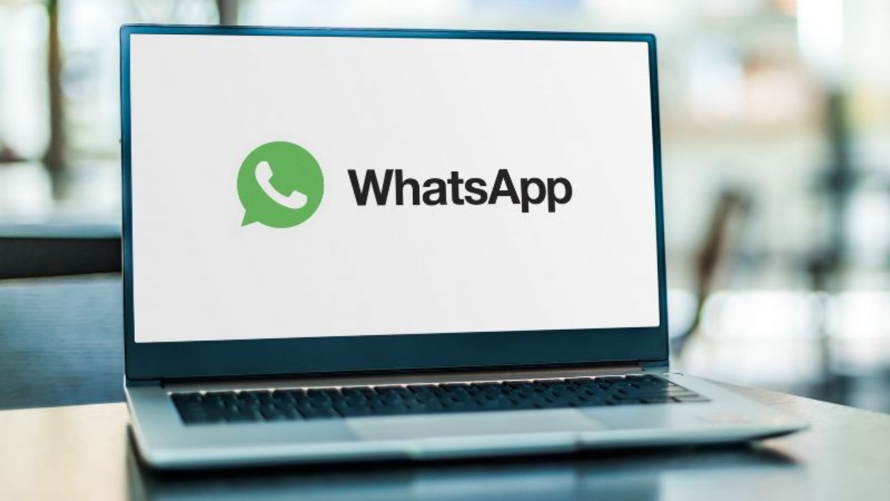 WhatsApp Update: आता वेब यूजर्सही निवडू शकतात आवडती चॅट थीम! मिळणार नवे रंग आणि वॉलपेपर, जाणून घ्या